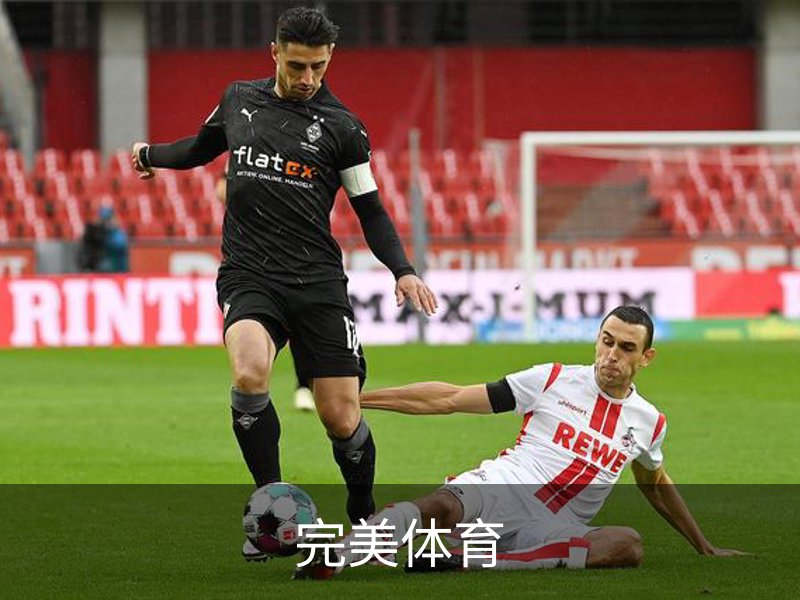 完美体育介绍